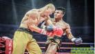 武林风一龙2018年视频