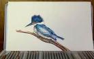 画鸟的教学视频国画画法教,画小兔子视频教程