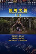 桥电影免费观看完整版