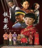 谍战剧铁家伙百度云播放在线谍战 铁家伙电视剧全集观看