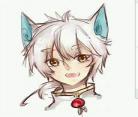 京剧猫白糖贴吧