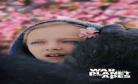 意大丽偶像战士奇迹之音视频