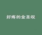 重造历史第一季01 大西洋帝国第一季在线观看