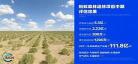 非会员手机百度网盘删除重复合并 手机百度网盘重复照片