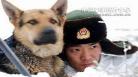 军犬台湾电影主要内容,电影军犬完整版资源